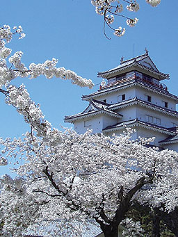 20080401-桜